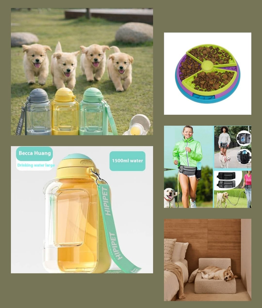 Stijlvolle drinkflessen voor honden en baasjes - perfect voor wandelingen